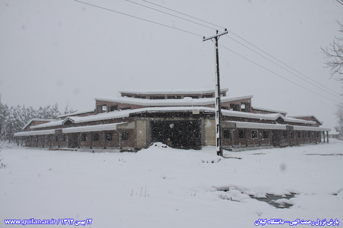 تصویر کوچک