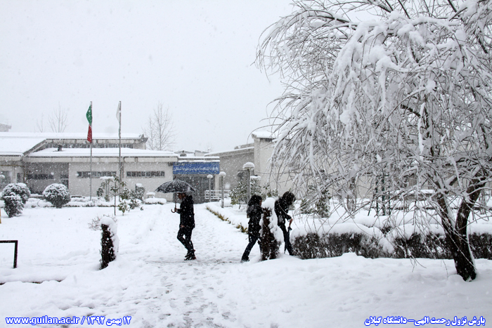 تصویر کوچک